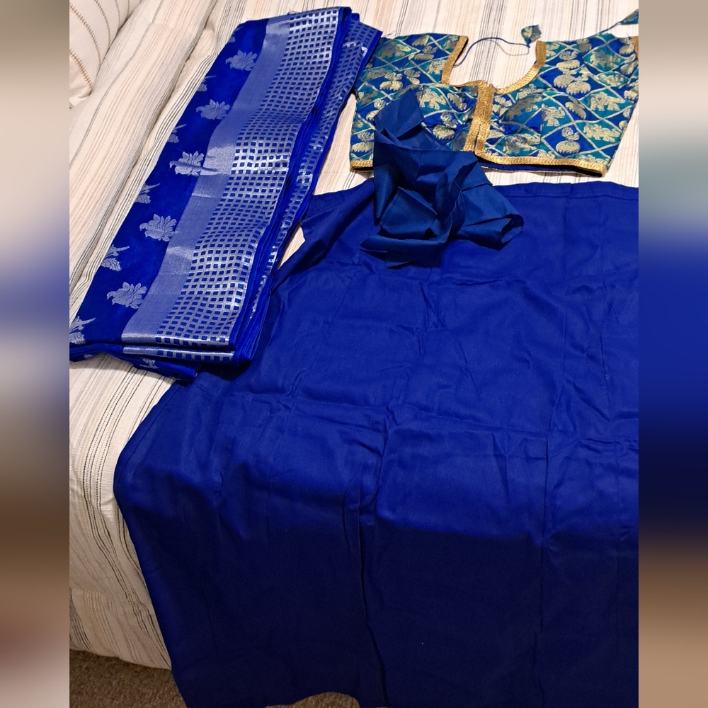 Blue Sari